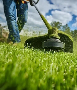 Poda y corte del cesped